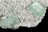 Green Apophyllite Crystals and White Heulandite - India #135804-1